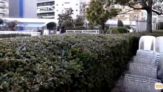 亚洲AV.国产丰田在线a 日本一区二区在线看_国产在线精品观看一区欧美国产精品不卡在线观看_国产亚洲一区二区手机在线观看